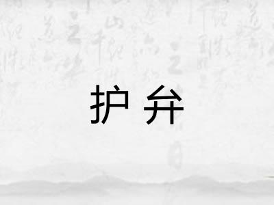 护弁