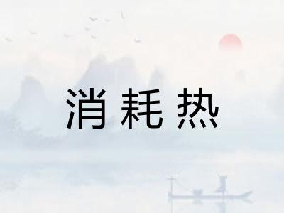 消耗热