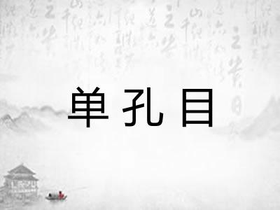 单孔目