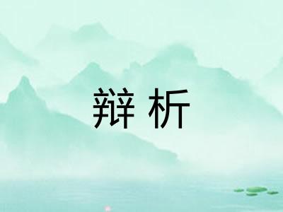 辩析