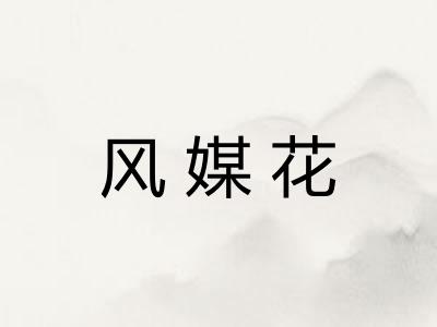 风媒花 风媒花