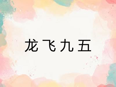 龙飞九五