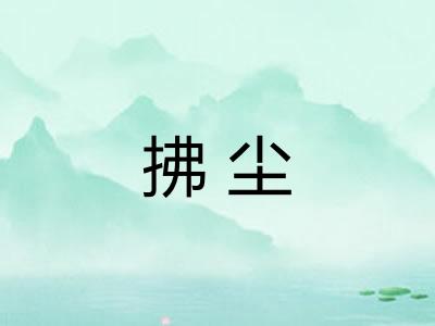 拂尘 拂尘