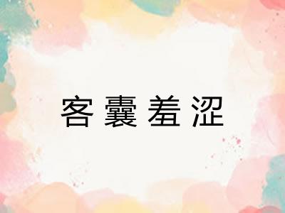 客囊羞涩