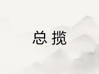 总揽 总揽