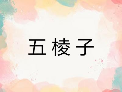 五棱子 五棱子