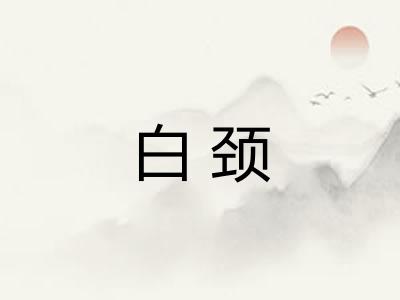 白颈 白颈