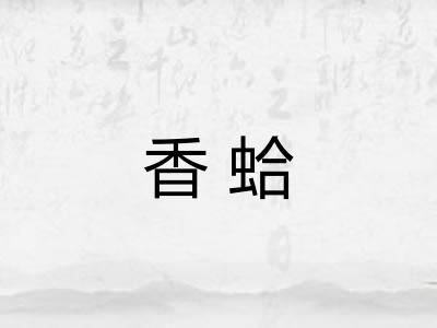 香蛤 香蛤