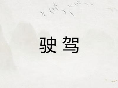 驶驾