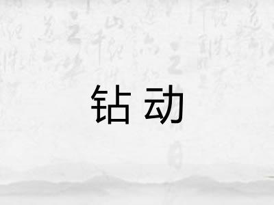 钻动
