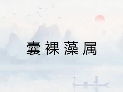囊裸藻属