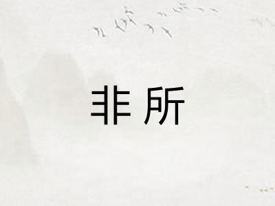 非所