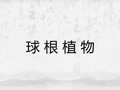 球根植物