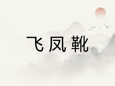 飞凤靴 飞凤靴