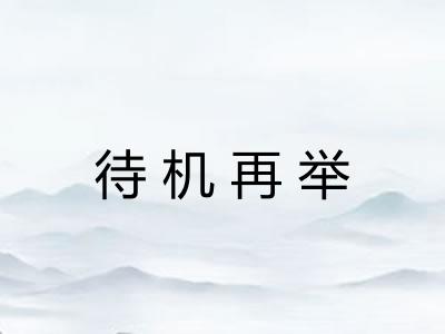 待机再举