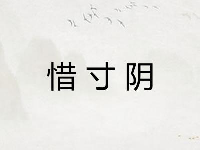 惜寸阴