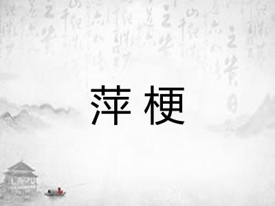 萍梗