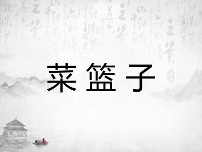 菜篮子 菜篮子