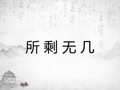所剩无几