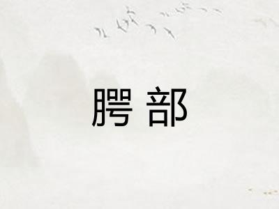 腭部