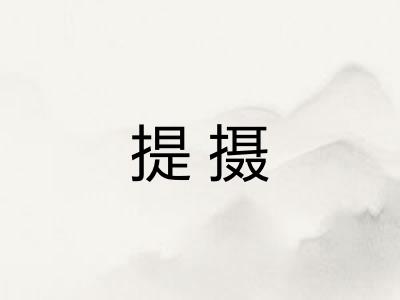 提摄