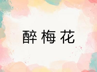醉梅花