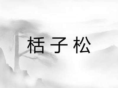 栝子松 栝子松