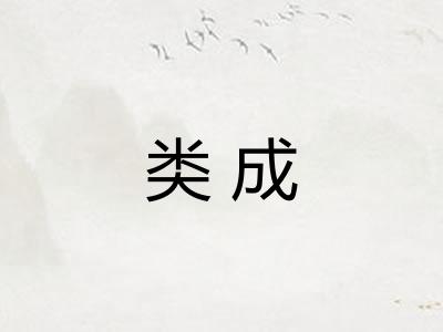 类成