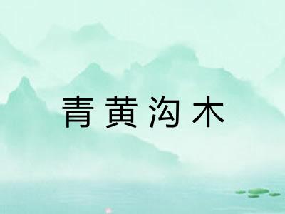 青黄沟木
