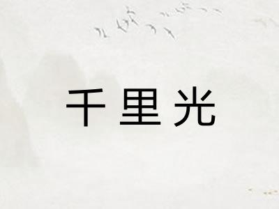 千里光 千里光