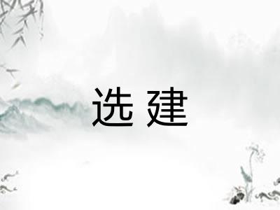 选建