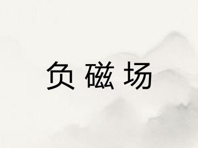 负磁场 负磁场