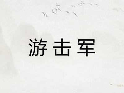 游击军 游击军