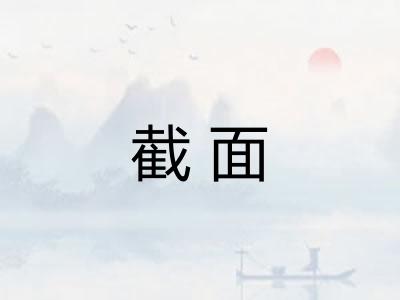 截面
