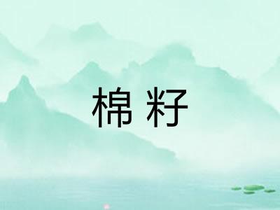 棉籽