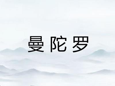 曼陀罗 曼陀罗