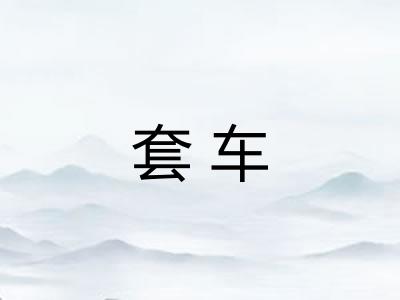 套车
