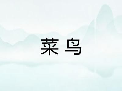 菜鸟 菜鸟