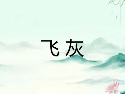 飞灰 飞灰