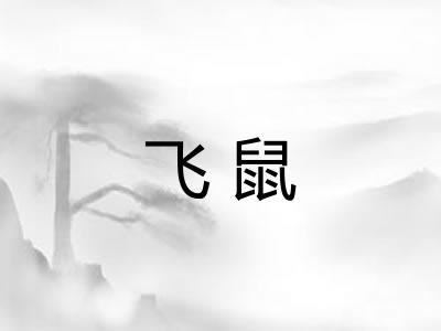 飞鼠 飞鼠