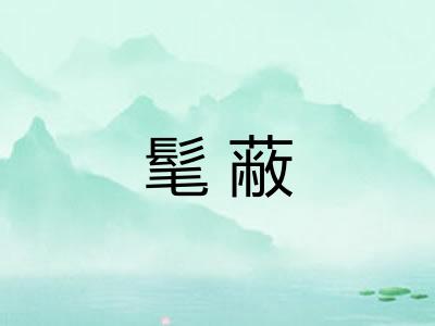 髦蔽