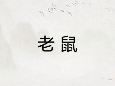 老鼠 老鼠