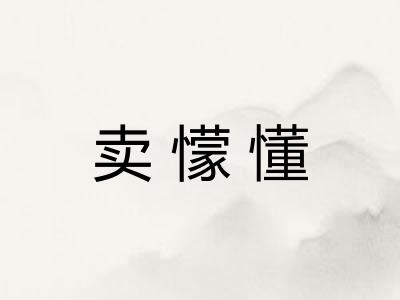卖懞懂