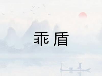 乖盾