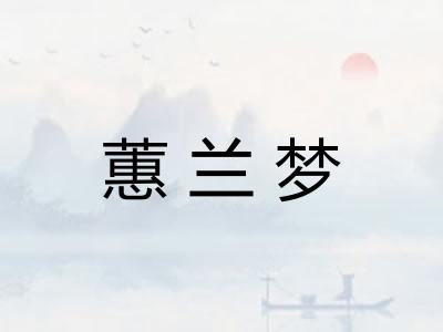 蕙兰梦