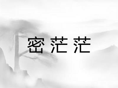 密茫茫
