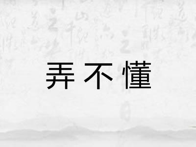 弄不懂 弄不懂