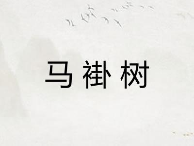 马褂树 马褂树