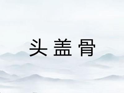 头盖骨 头盖骨