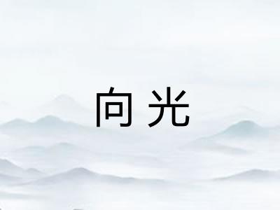 向光 向光